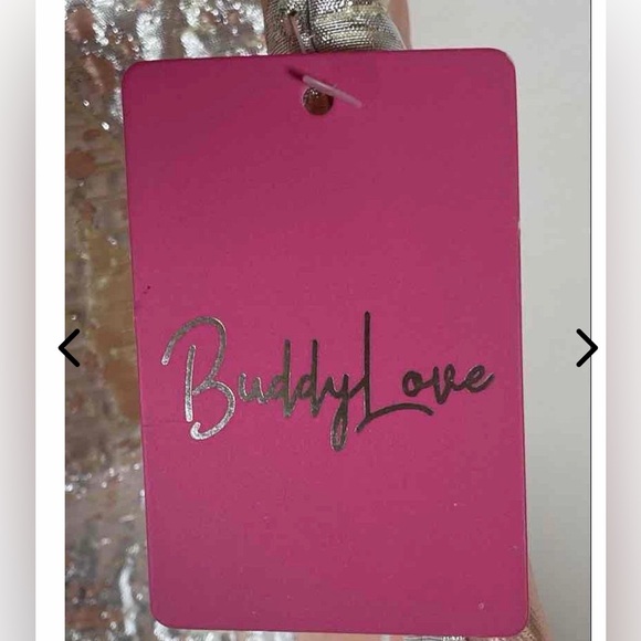 Buddy Love Metallic Floral Puff Sleeve Top XS NWT | Bachelorette Spring Party - Picture 4 of 5